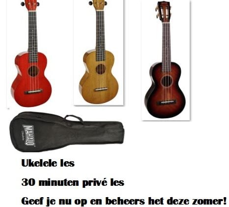 Ukelele les