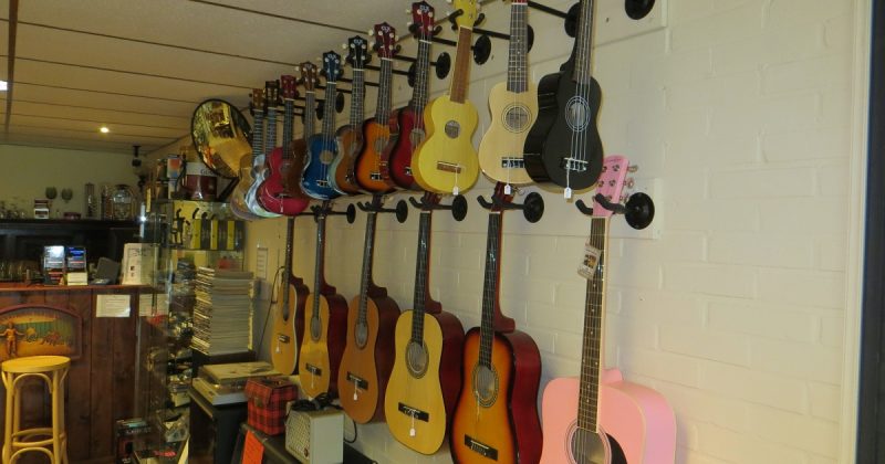 Grootste voorraad Ukelele in diverse maten en kleuren